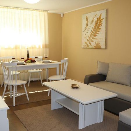 Cluj City Center Apartment Dış mekan fotoğraf